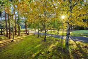 a tree lined path in a park with the sun shining through it at Oyster Cove Chalet in Kettering