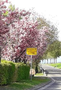 a street sign on the side of a road with trees at GÄSTEHAUS LIFESTYLE in Kirrweiler