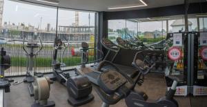 Fitness centrum a/nebo fitness zařízení v ubytování Hotel Shamrock