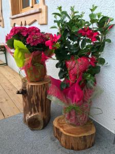 two vases filled with flowers on a wooden stump at Hauslhof in St. Wolfgang
