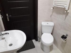 a bathroom with a white toilet and a sink at Hotel Beni in Akhaltsikhe