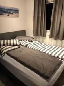 2 Betten in einem Zimmer mit Fenster in der Unterkunft Chalet SOL Y MAR in Renesse