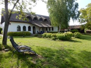 a metal chair in the grass in front of a house at Herberg Tisza in Tiszabábolna