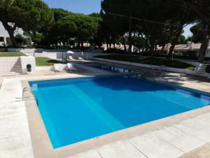 a large blue swimming pool with trees in the background at Apartamento Passarinhos in Albufeira