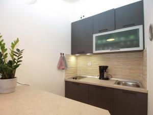 Kuchyň nebo kuchyňský kout v ubytování Apartments Ilija 1363