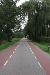 eine leere Straße, die zu beiden Seiten von Bäumen gesäumt ist in der Unterkunft NeyenGreve in Bennekom + 6 Fotos