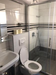 a bathroom with a toilet and a sink and a shower at Apartmans and rooms ''Slavica'' in Novalja +31 photos