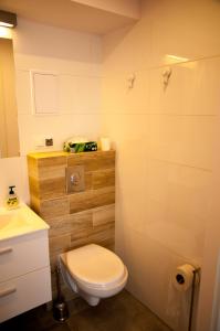 łazienka z toaletą i umywalką w obiekcie Apartament Wiesio w mieście Gdynia