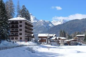 Afbeelding uit fotogalerij van Appartamenti Regina in Alleghe