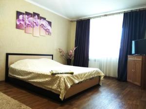 ペンザにあるApartment Proezd Rakhmaninova 3のベッドルーム(ベッド1台、テレビ付)