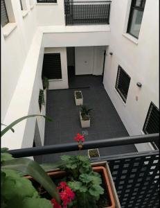 Balkón nebo terasa v ubytování Stylish Apartment in the heart of Málaga with Pool
