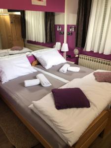 grupa łóżek w pokoju z fioletowymi ścianami w obiekcie Villa Zoki - soba dnevni najam w Zagrzebiu