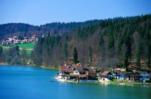a group of houses on the shore of a lake at Azureva Métabief in Métabief