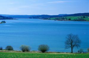 a large body of water with a tree in a field at Azureva Métabief in Métabief