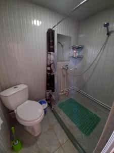 a bathroom with a shower with a toilet at Art Guest House USTO in Bukhara