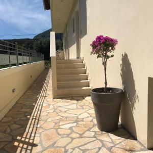 Balkón nebo terasa v ubytování The Little Prince Luxury Suites