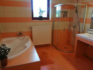a bathroom with a tub and a shower and a sink at Vízaknai Apartmanház in Székesfehérvár