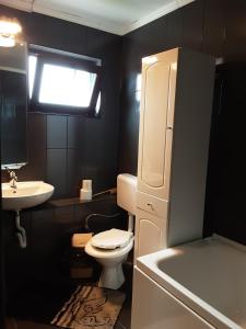 La petite salle de bains est pourvue de toilettes et d'un lavabo. dans l'établissement Pensiunea Giovani, à Târgu Jiu