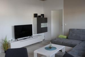 a living room with a couch and a flat screen tv at Niederwerth bei Koblenz in Niederwerth