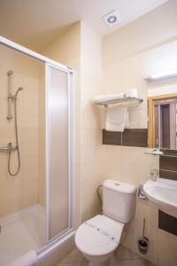 een badkamer met een toilet, een douche en een wastafel bij Rezidence Dlouha 17 in Praag
