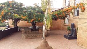 a tree in front of a building with orange flowers at Arek's Place in Krugersdorp