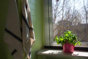 Fotografia z galérie ubytovania Bright apartment for 5 close to Isola district v Miláne