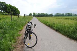 Ποδηλασία στο Bungalows Zur Alten Fähre ή στη γύρω περιοχή