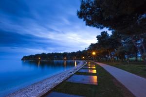 a path next to a body of water at night at Apartments Jadranka Sain in Novigrad Istria