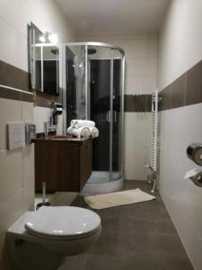 La salle de bains est pourvue d'une douche et de toilettes. dans l'établissement Hotel zum Weissen Ochsen, à Aalen
