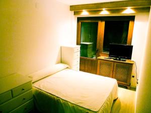 Dormitorio pequeño con cama y TV en Apartamentos Formigal - admite mascotas, en Formigal