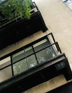 een uitzicht op een gebouw met ramen en potplanten bij Nejapa Irrigación in Mexico-Stad
