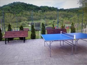 two benches and a ping pong table in a park at Pensiunea Esential in Ocnele Mari