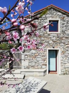 a tree with pink flowers in front of a stone building at Casa de Moreira in Calo