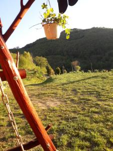 una maceta colgando de una valla en un campo en Casa cu Muscate, en Câmpeni