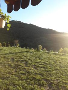 Gallery image of Casa cu Muscate in Cîmpeni