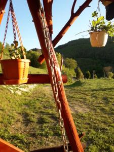 Gallery image of Casa cu Muscate in Cîmpeni