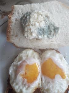 Gallery image of Casa cu Muscate in Cîmpeni +145 photos