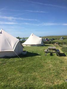 two tents and a picnic table in a field at Wold Farm Bell Tents in Flamborough