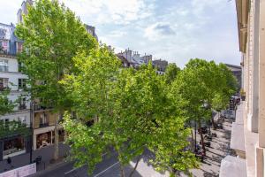 a group of trees on a city street at CMG Galeries Lafayette / Madeleine D in Paris