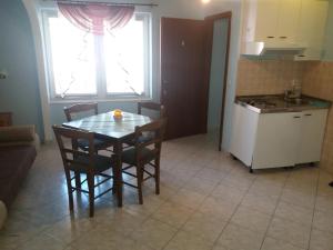 Kuchyň nebo kuchyňský kout v ubytování Apartmani Nina
