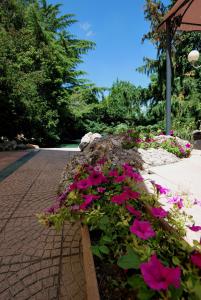 A garden outside Nuovo Mondo