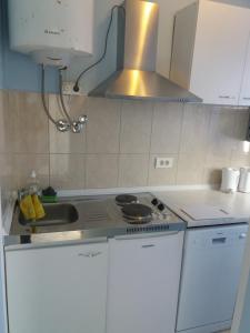 Kuchyň nebo kuchyňský kout v ubytování Apartmani Nina