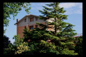 The building in which a panziókat is located