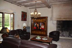 a living room with a couch and a fireplace at Chateau de Vau Rozet in Continvoir