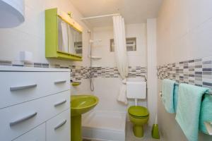 王夢奎羅施尼的住宿－Apartment Carmen，浴室设有绿色卫生间和绿色水槽。
