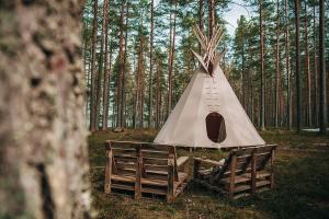 a teepee tent in the middle of a forest at Ecohotel Les in Poselok Zerkalniy