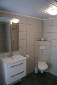 a bathroom with a sink and a toilet and a mirror at t'Bakkersboschje nummer 8 in Putten