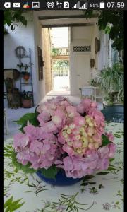 un vaso blu pieno di fiori rosa su un tavolo di Campanino68 a San Martino Valle Caudina