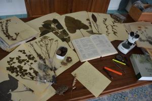 Fotografie z fotogalerie ubytování Casale Dionisia, Santa Maria di Castellabate, Appartamento Iris v destinaci Castellabate