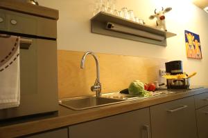 a kitchen with a sink and some vegetables on a counter at Ferienwohnung Kuh in Bolsterlang